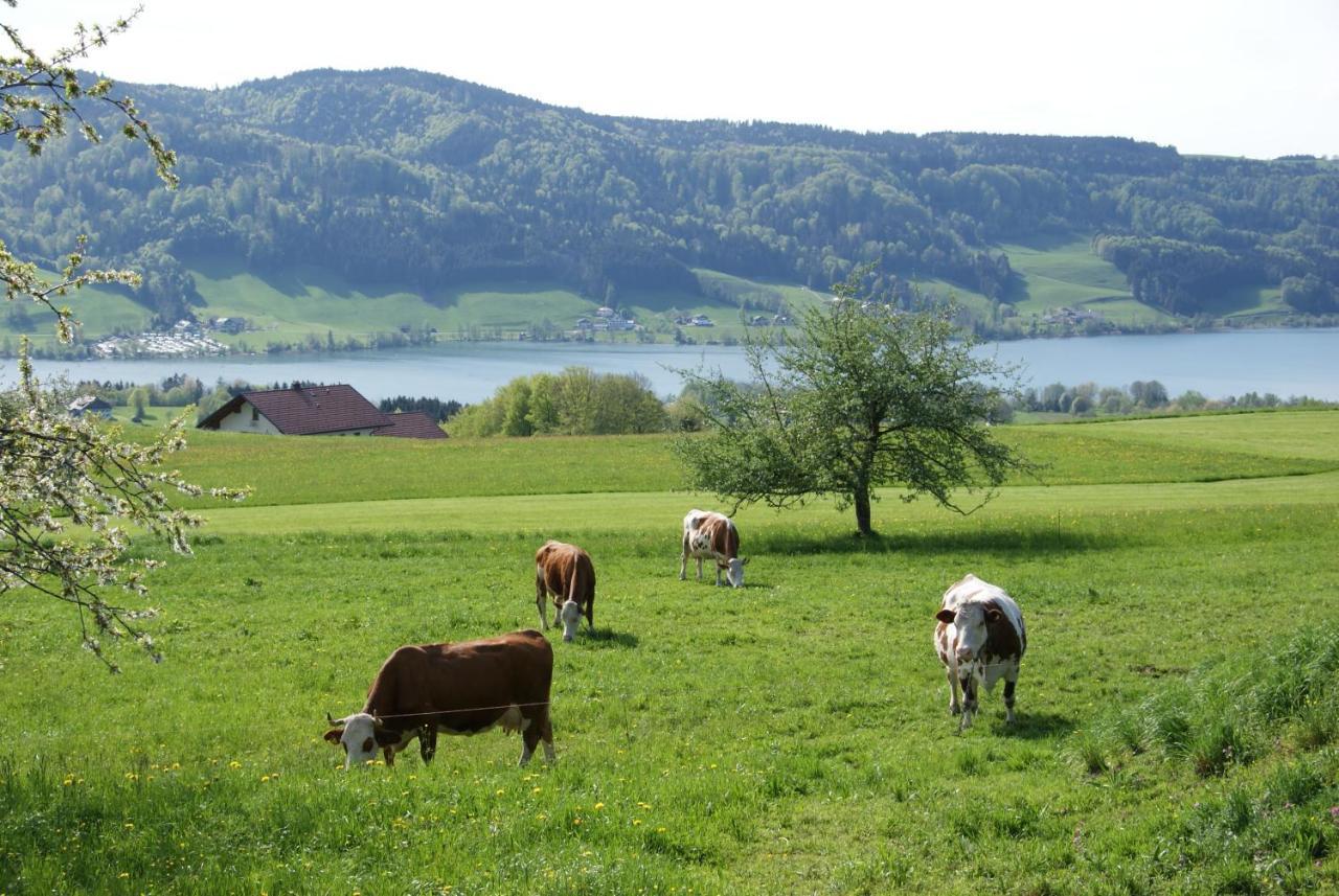 Ferienhof Edtmeier Zell am Moos Exterior photo